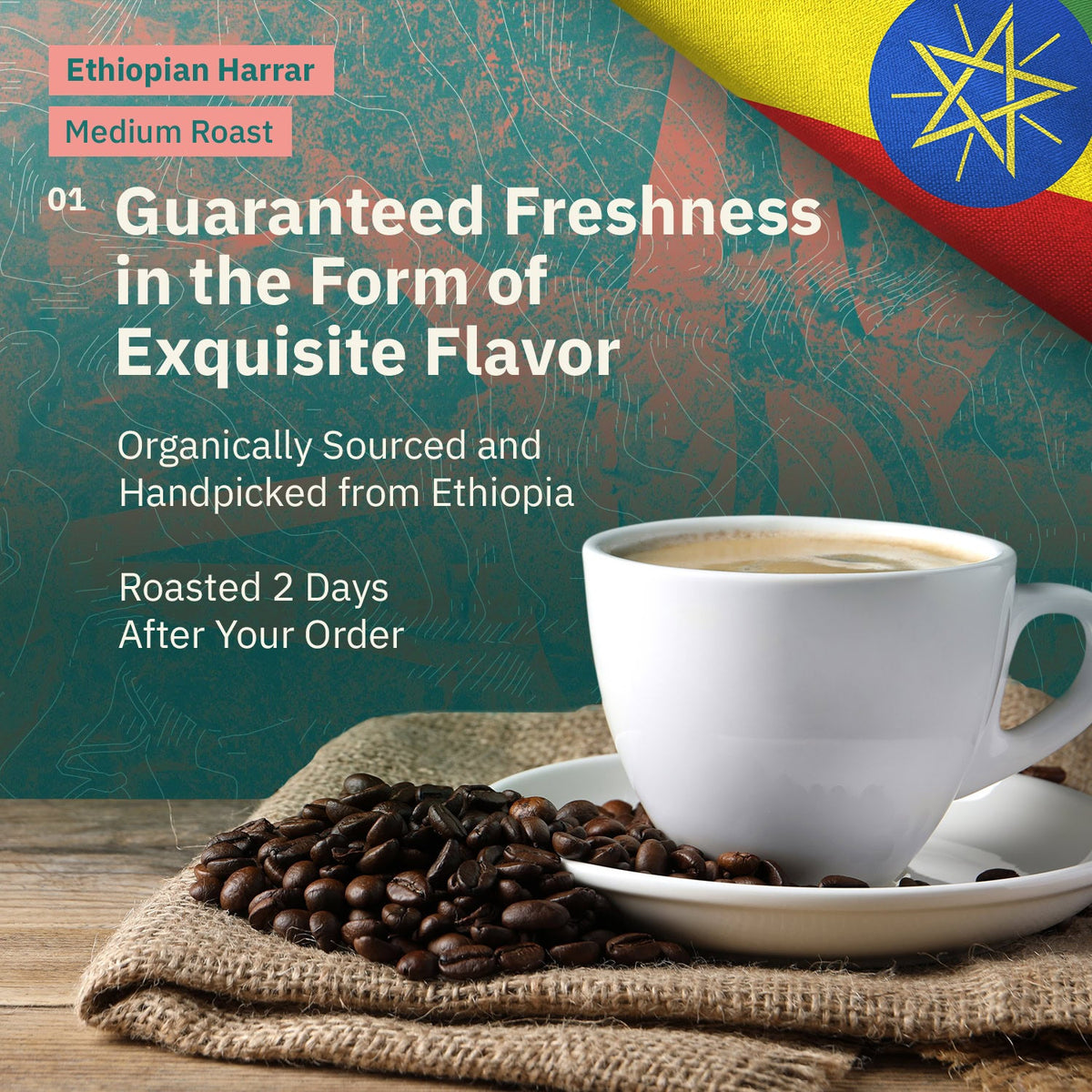 Ethiopian Harrar Coffee Beans – Single Origin Medium Roast
