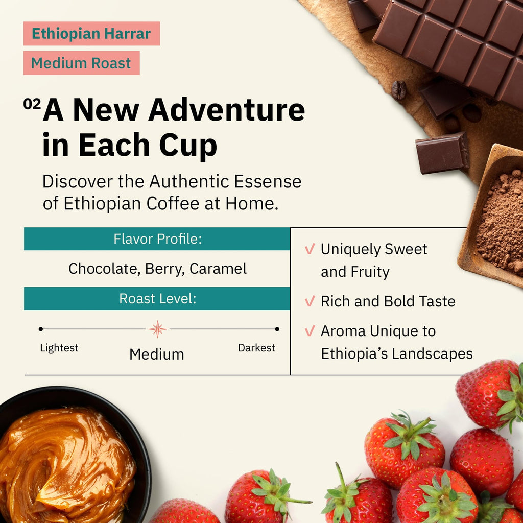 Ethiopian Harrar Coffee Beans – Single Origin Medium Roast