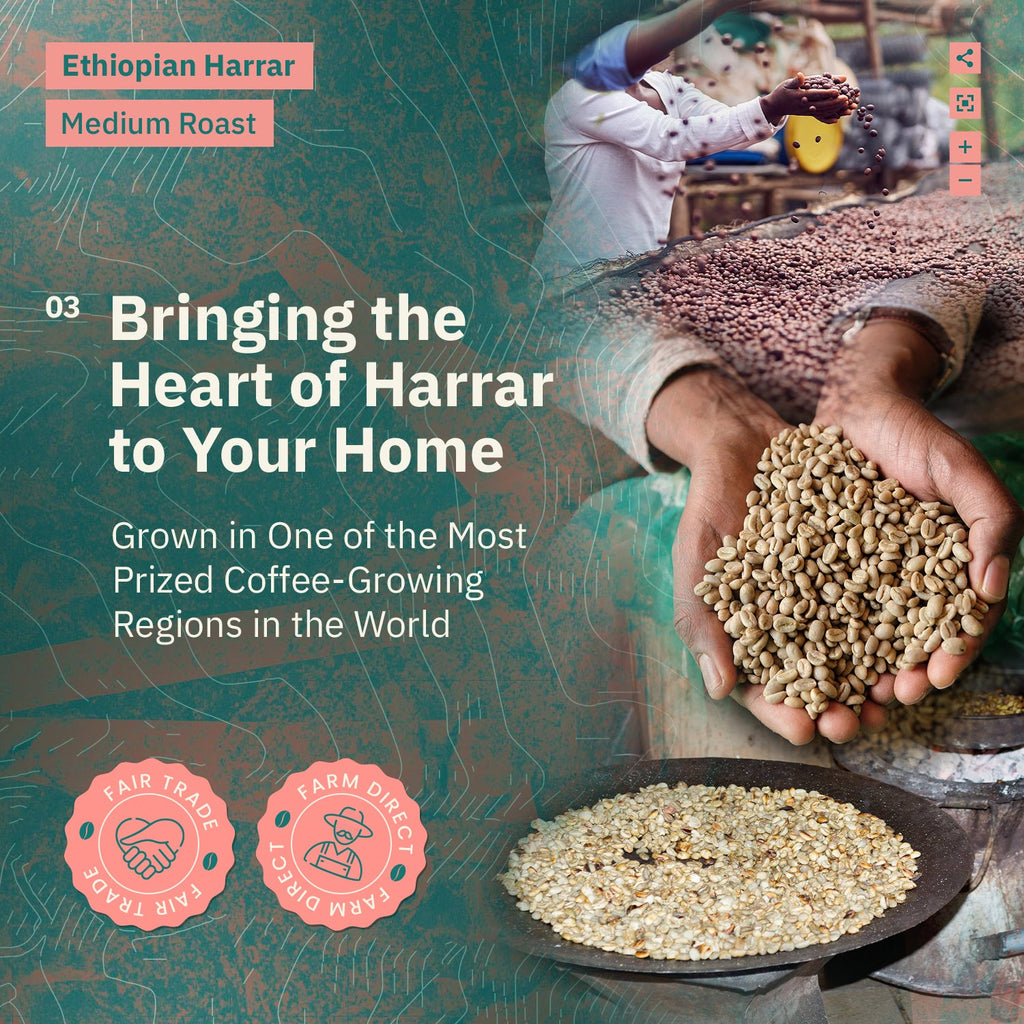 Ethiopian Harrar Coffee Beans – Single Origin Medium Roast