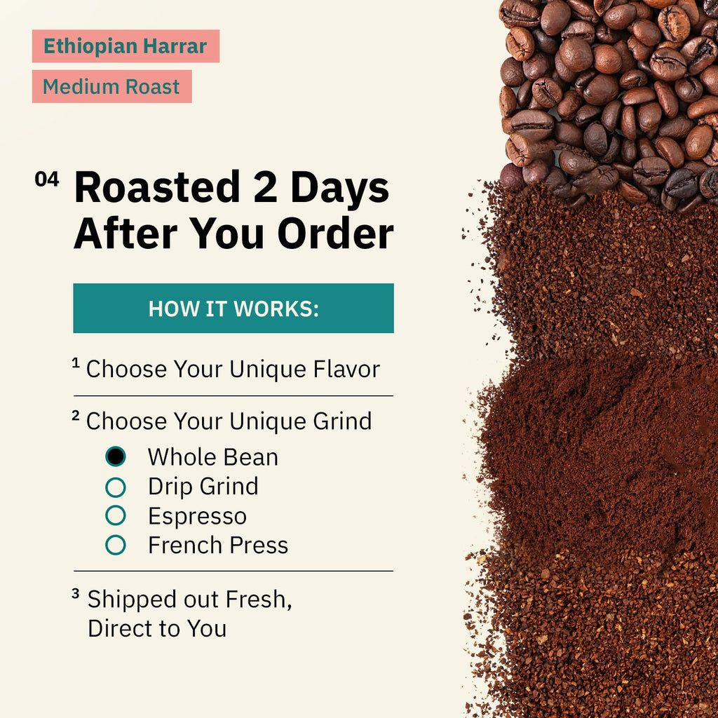 Ethiopian Harrar Coffee Beans – Single Origin Medium Roast