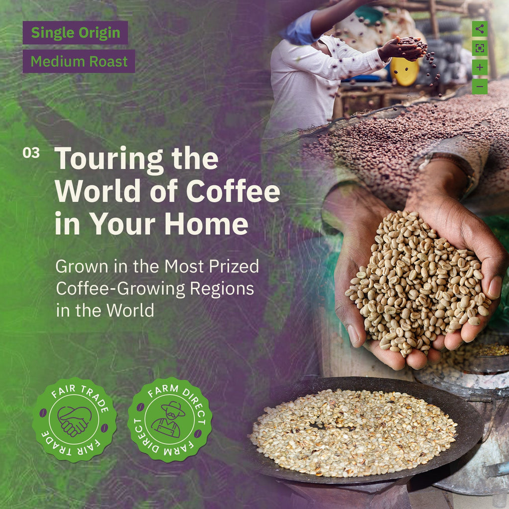 Kochere Coffee Single Origin Coffee Sampler - Roaster's Choice Tasting Kit Kochere Coffee Co.