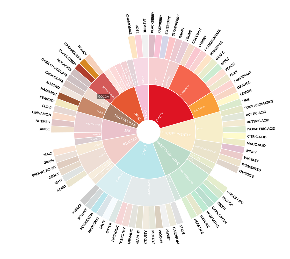 El Salvador Microlot Coffee Beans – Brainstorm by Function Coffee Co